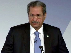 Efforts afoot to reduce educational gaps, promote inclusion of using technology: Shafqat Mehmood