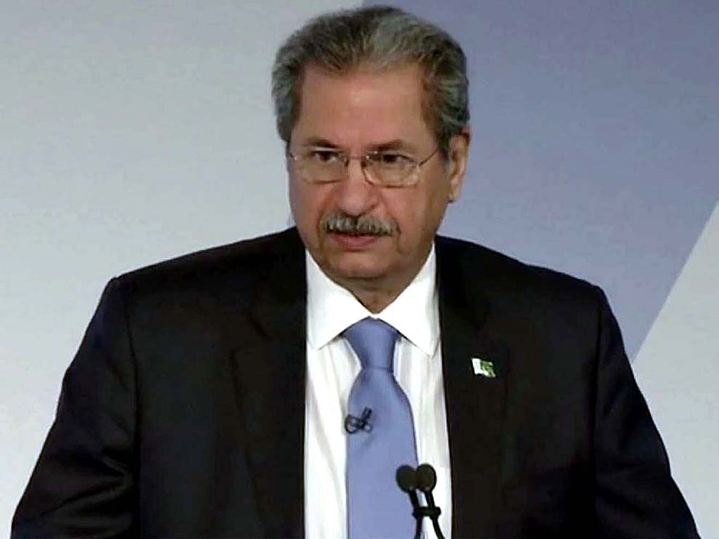 Efforts afoot to reduce educational gaps, promote inclusion of using technology: Shafqat