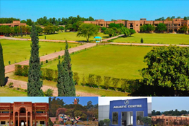 Jhang